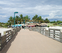 Sharky's Restaurant Venice, Florida