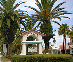Venice Florida Real Estate