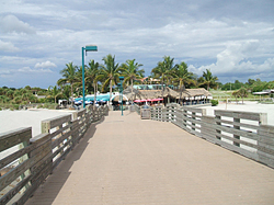 Sharky's Restaurant Venice, Florida